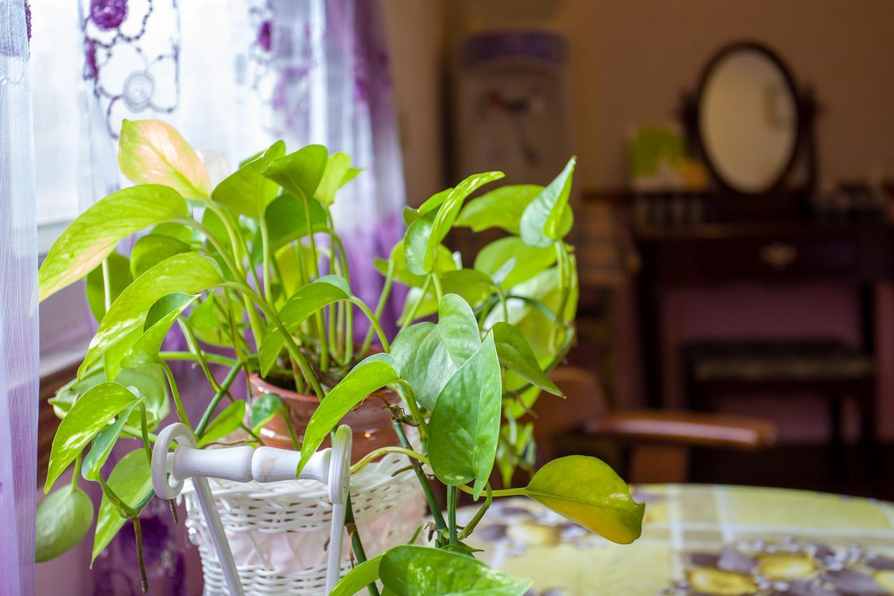 Chenyuan B&B Hualien Dış mekan fotoğraf